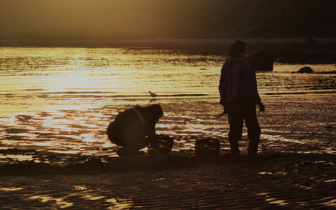 Desafíos y oportunidades para las mujeres de mar