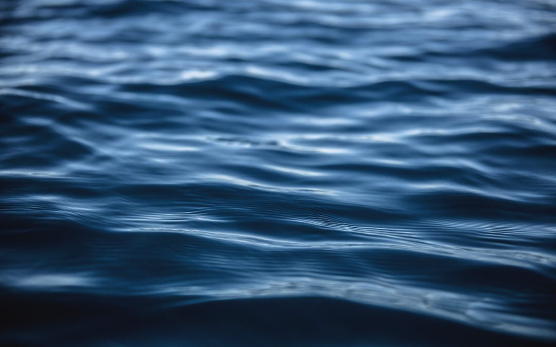 MALI: ¿Qué nos mueve?